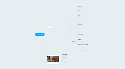 Mind Map: DESCRIÇÃO