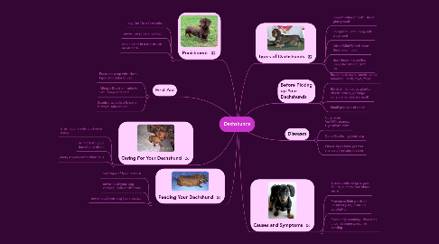 Mind Map: Dachshunds