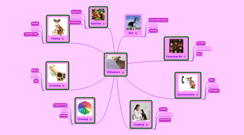 Mind Map: Chihuahua's