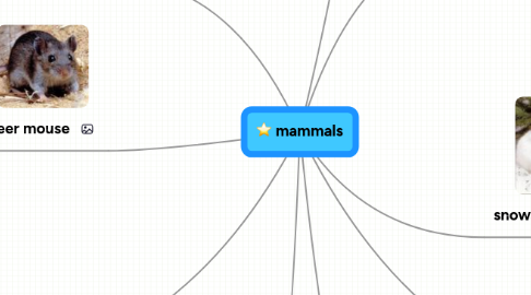 Mind Map: mammals