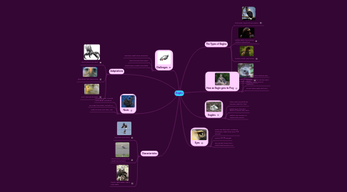 Mind Map: Eagles