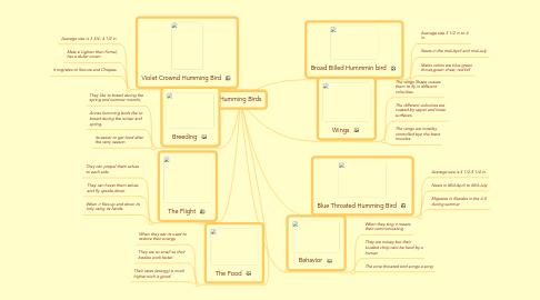 Mind Map: Humming Birds