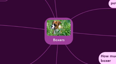 Mind Map: Boxers