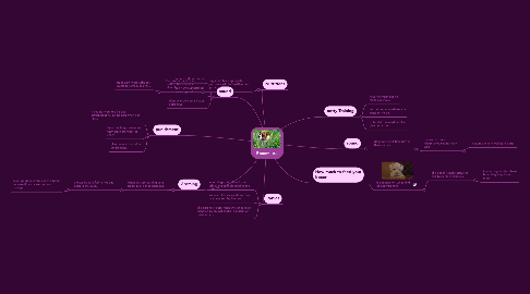 Mind Map: Boxers