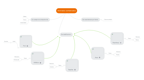 Mind Map: Animales vertebrados