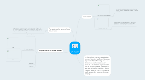 Mind Map: LA FLOR