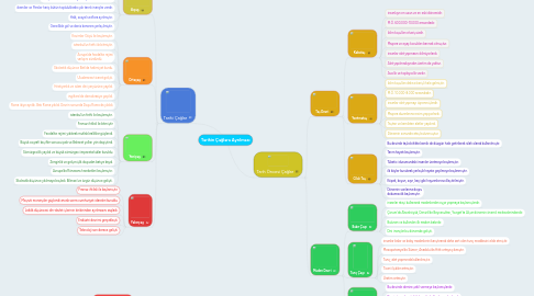 Mind Map: Tarihin Çağlara Ayrılması