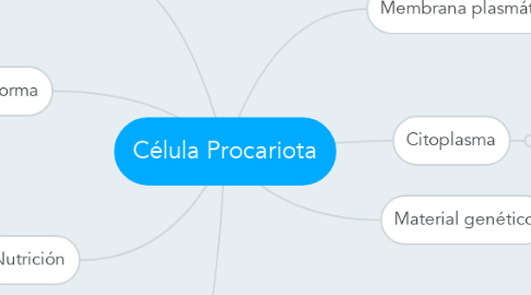 Mind Map: Célula Procariota