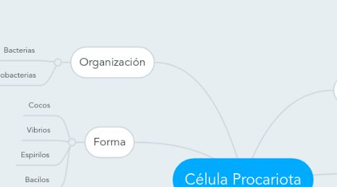 Mind Map: Célula Procariota