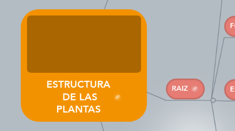 Mind Map: ESTRUCTURA  DE LAS PLANTAS