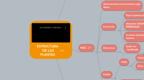 Mind Map: ESTRUCTURA DE LAS PLANTAS