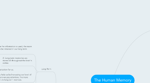 Mind Map: The Human Memory