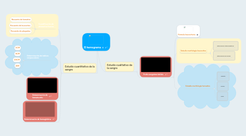 Mind Map: El hemograma