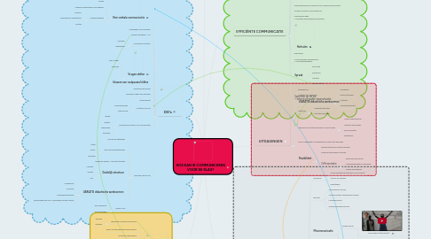 Mind Map: HOE KAN IK COMMUNICEREN VOOR DE KLAS?