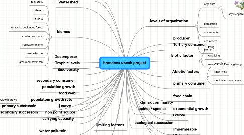 Mind Map: brandons vocab project