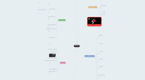 Mind Map: FRACTALES