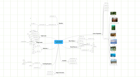 Mind Map: Liz's Enviromental vocab mind map