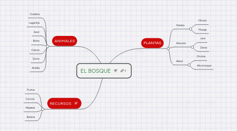 Mind Map: EL BOSQUE