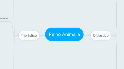 Mind Map: Reino Animalia