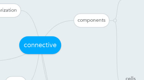 Mind Map: connective