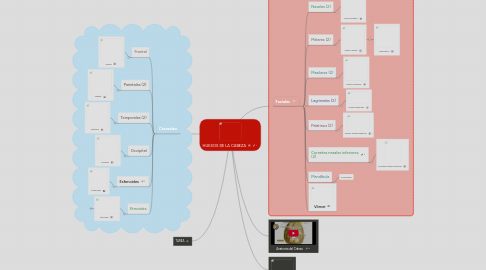 Mind Map: HUESOS DE LA CABEZA