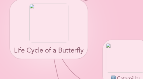 Mind Map: Life Cycle of a Butterfly