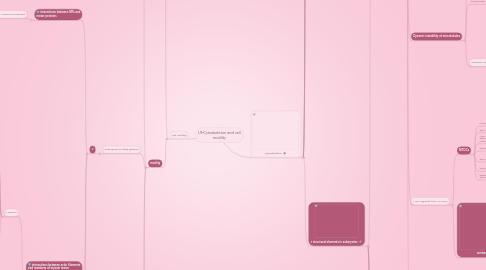 Mind Map: L9-Cytoskeleton and cell motility