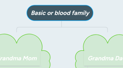 Mind Map: Basic or blood family