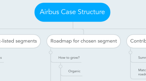 Mind Map: Airbus Case Structure