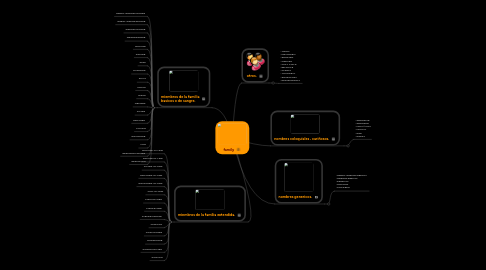 Mind Map: family