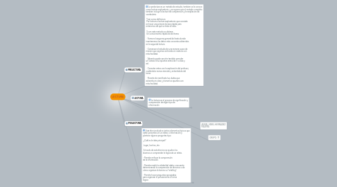 Mind Map: LECTURA