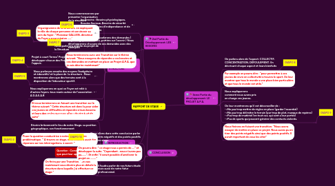 Mind Map: RAPPORT DE STAGE