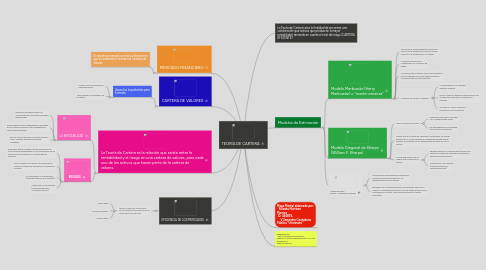 Mind Map: TEORÍA DE CARTERA