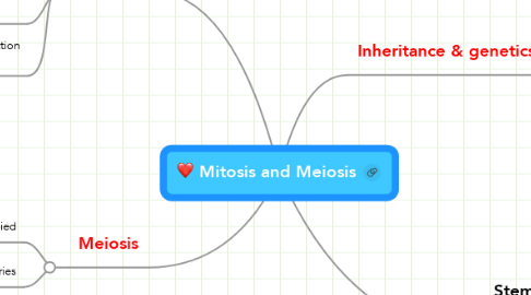 Mind Map: Mitosis and Meiosis