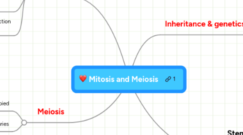 Mind Map: Mitosis and Meiosis