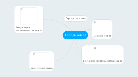 Mind Map: Породы кошек