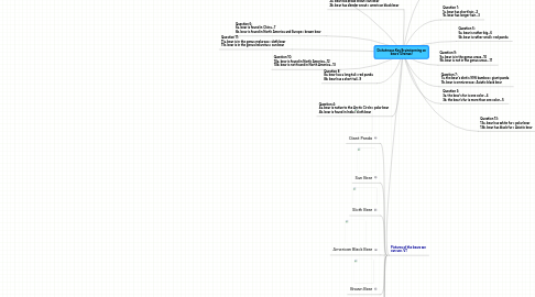 Mind Map: Dichotmous Key Brainstorming on bears (Ursinae)