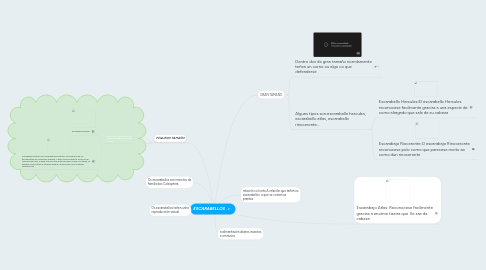 Mind Map: ESCARABELLOS