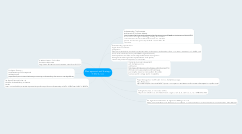 Mind Map: Management and Strategy Institute, LLC