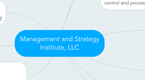 Mind Map: Management and Strategy Institute, LLC