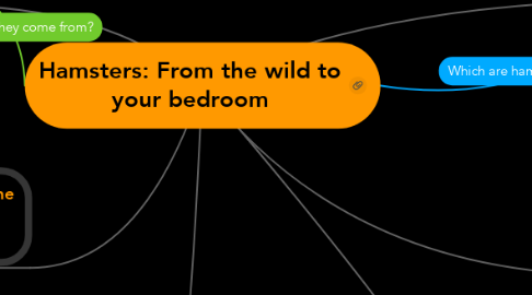 Mind Map: Hamsters: From the wild to your bedroom