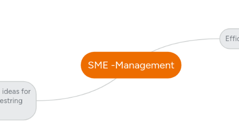 Mind Map: SME -Management