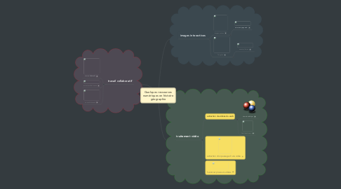 Mind Map: Quelques ressources numériques en histoire géographie