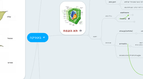 Mind Map: בוטניקה