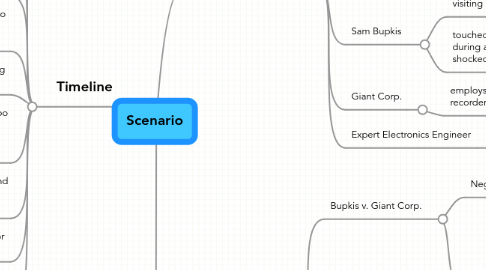 Mind Map: Scenario