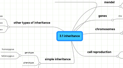 Mind Map: 3.1 inheritance