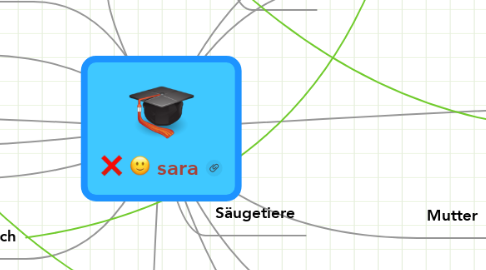 Mind Map: sara
