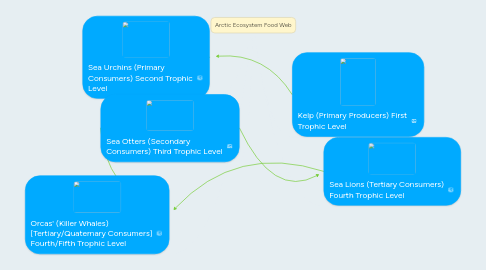 Mind Map: Arctic Ecosystem Food Web