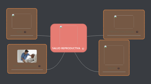 Mind Map: SALUD REPRODUCTIVA