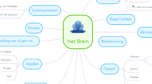 Mind Map: Het Brein